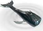 mobydick.png
