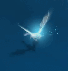 upload_2025-3-4_1-11-36.gif