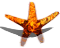 upload_2025-3-4_1-12-33.png